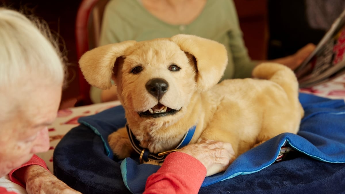 Therapeutic store robot dog